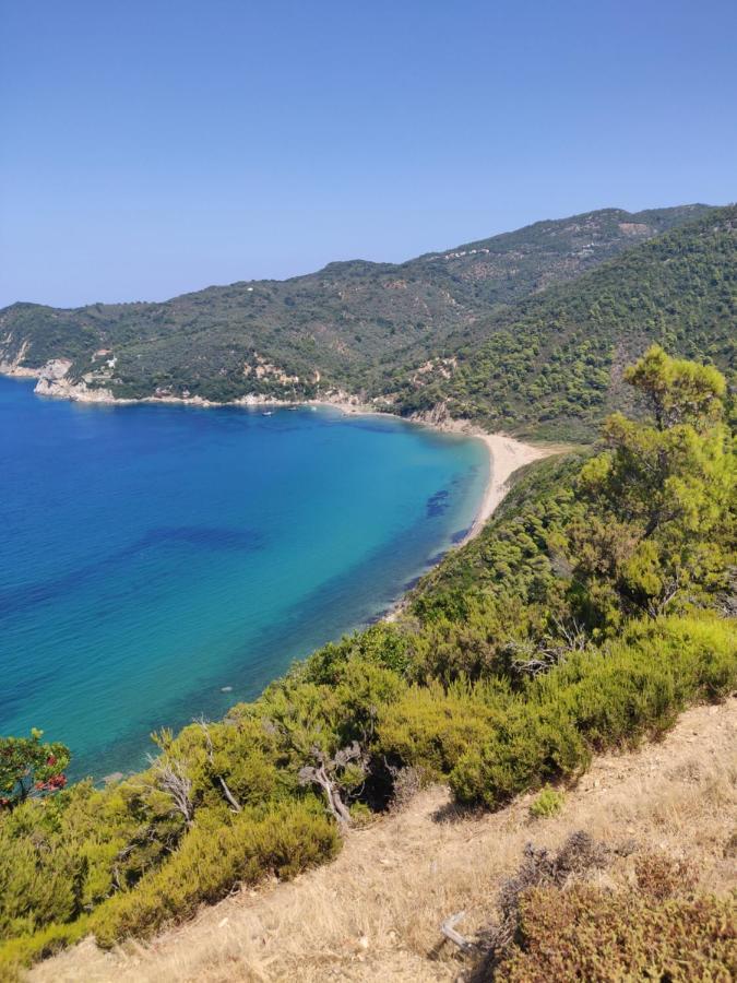 Taxiarchis Apartments Skiathos Town Luaran gambar