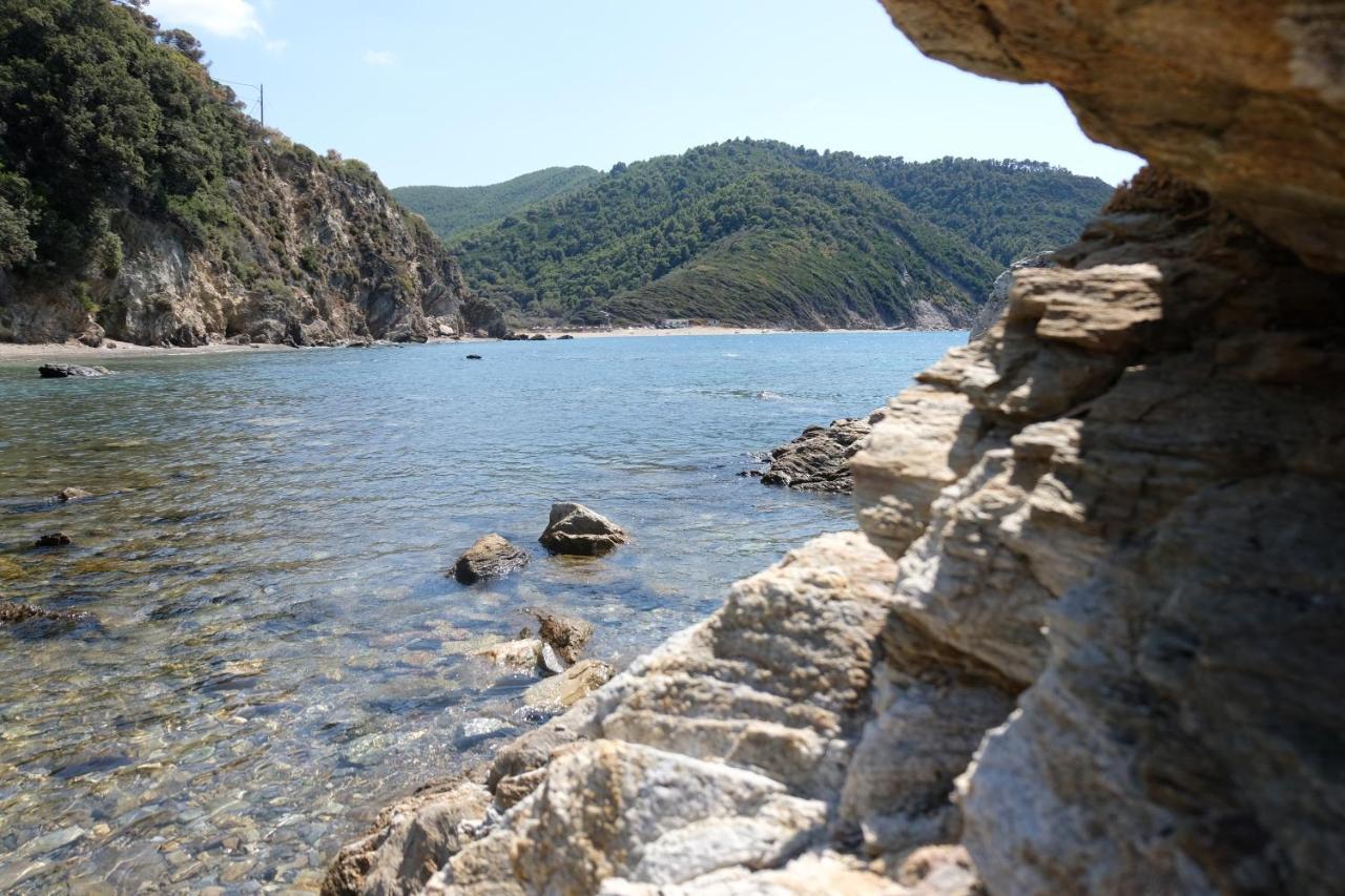Taxiarchis Apartments Skiathos Town Luaran gambar